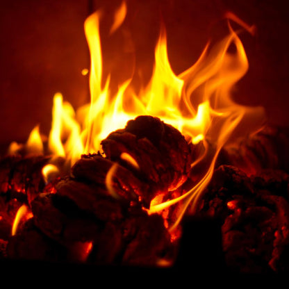 rounders Nadelholzbriketts - einzeln 10 kg